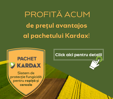 Kardax